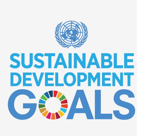 Keeping tabs on the SDGs