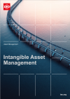 intangibles-article-2026.pdf